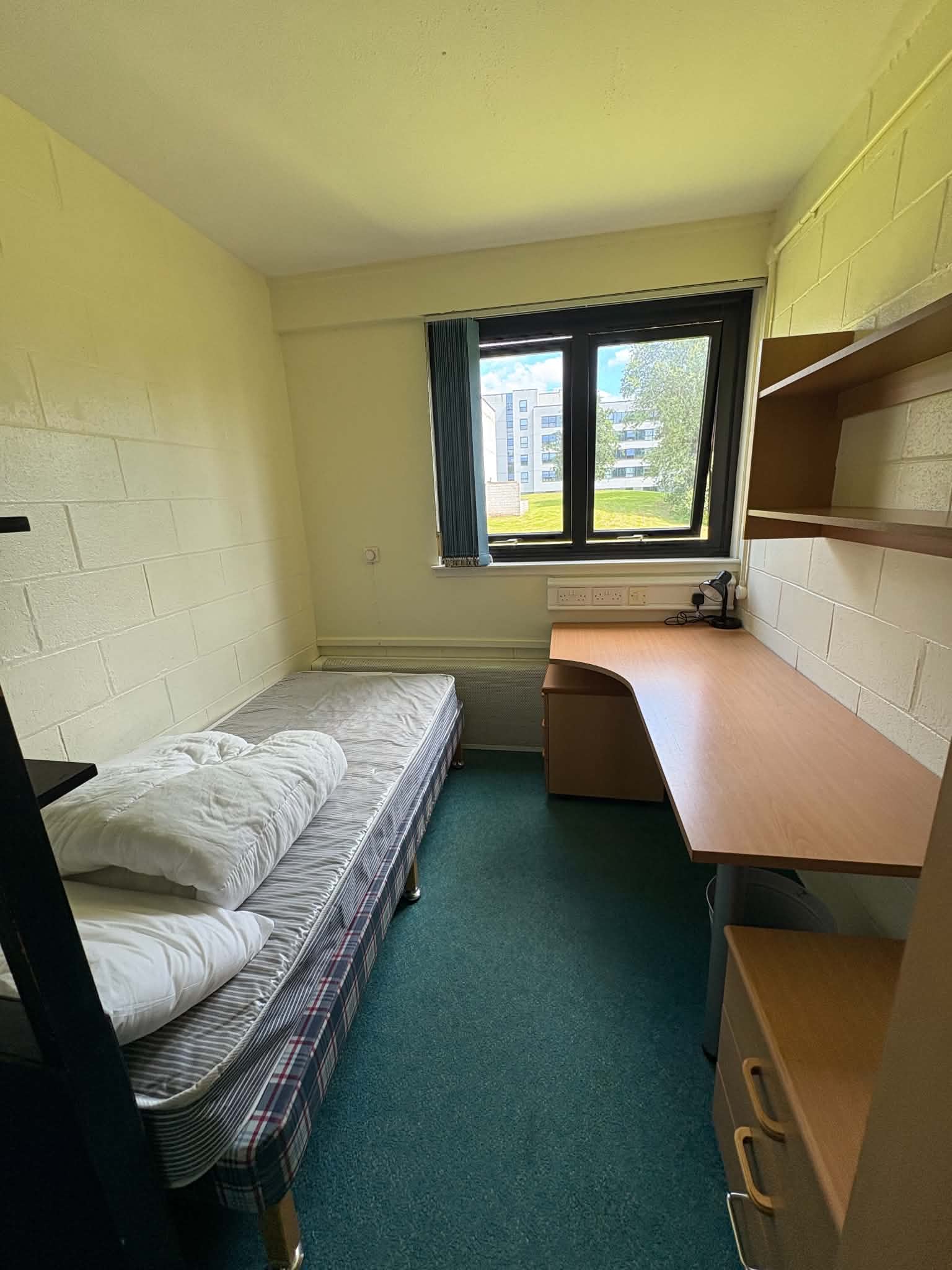 A single study bedroom with a bed, desk and window