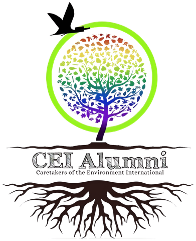 CEI Alumni