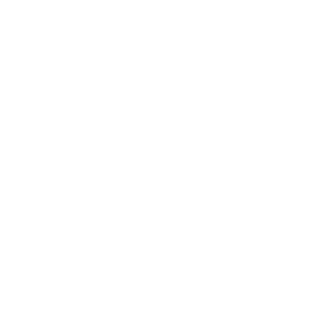 CEI 2027 conference logo